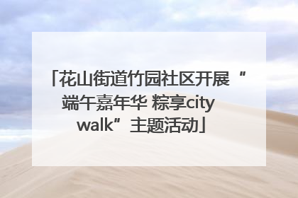 花山街道竹园社区开展“端午嘉年华 粽享city walk”主题活动